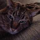 Drippy's Hangout Banner