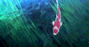 ★ 💌    pochiko   #RVMP banner