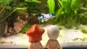 FishWiki Server Banner