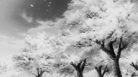 { 𝐌𝐈𝐃𝐍𝐈𝐆𝐇𝐓 } banner