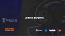 VERTEX eSports® banner