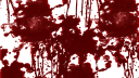 redize server server banner