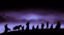 The Palantir Investors Fellowship banner