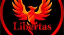 Libertas banner