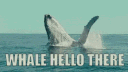 New Whale Order banner