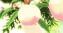 ˚🍑　/koala-tea café　≋ server banner