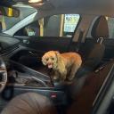 Vapor Fan Club Banner