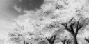 Облачный кот Vtuber banner