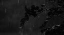 solitude・・ Banner