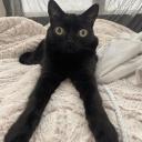 World of Tyrnos Banner