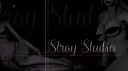 Stray Studio banner