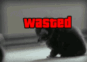 wasted server banner