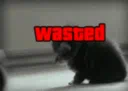 wasted Discord server banner
