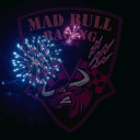 Mad Bull Racing 🏆 banner