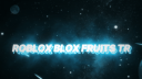 Roblox Blox Fruits TR banner