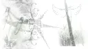 ⛧⁺ Discord server banner