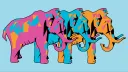 Mammoth Club banner