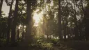 🍃 𓂃 ࣪˖ ִֶָ ノrains ﹒gwy ﹒scl ﹒tags banner