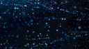 ABSOLUT banner