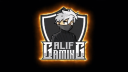 ALIF GAMING Banner