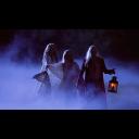 House of Meat Banner