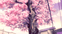 🌸 Anime Empire | Anime • Konkursy • Ekonomia banner