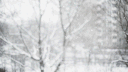 ʬʬ﹒ ꜝꜝ Tropical Luv ! # Social   ୧ ‧₊˚ 🍉 ⋅ banner