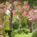 dazzle. ⋆  (apocalyptic wasteland.) Banner