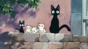 𝗖𝗵𝗶𝗹𝗹 𝗩𝗶𝗯𝗲𝘀 server banner
