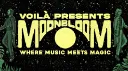 THE MAGICIANS (VOILร) banner