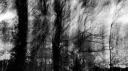 ゞ 𝐒𝐞𝐜𝐫𝐞𝐭 banner