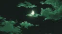 OverLoaded USA Discord server banner
