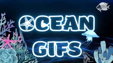 Ocean Gifs banner