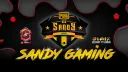 SANDY GAMING banner