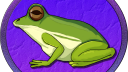 Frog Coin [FROG] Discord server banner