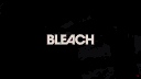 [HPR - V4]🏮BLEACH RP🏮 | La Fissure des Mondes banner