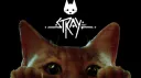 Stray banner