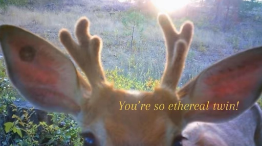 𝑀𝑒𝑟𝑎𝑘𝑖 🪷 Discord server banner