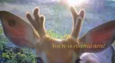 𝑀𝑒𝑟𝑎𝑘𝑖 🪷 Discord server banner