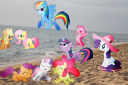 An Equestria Oasis server banner
