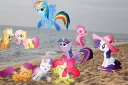 An Equestria Oasis Discord server banner