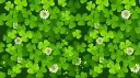 Find Partners Here! banner
