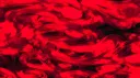 DPG Prime banner