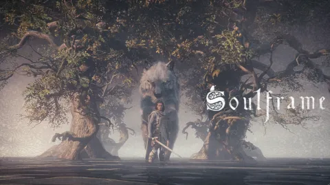 Soulframe banner