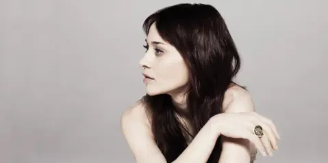 Fiona Apple banner
