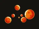 Dragon Ball: Project Z Discord server banner