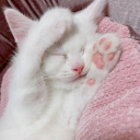 ;kuro Discord server banner