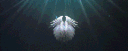 💜VOLITION💜 banner