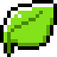 PALM