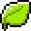 [ivy]